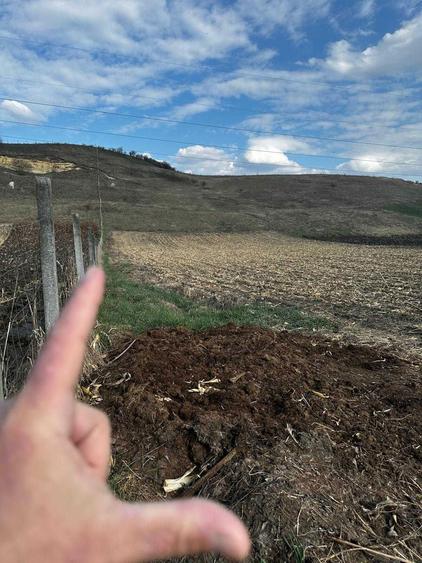 Teren extravilan 9000 mp Corusu, Baciu, drum, ideal investitie - 5