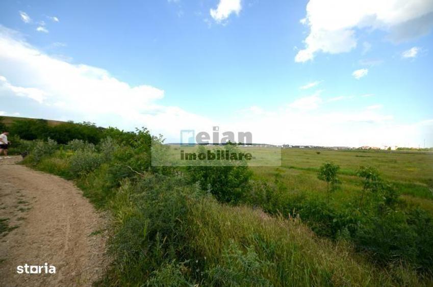 Pipera - Lidl Racovita - Teren 2500 Mp, 166 Ml Deschidere, Parcelabil - 6