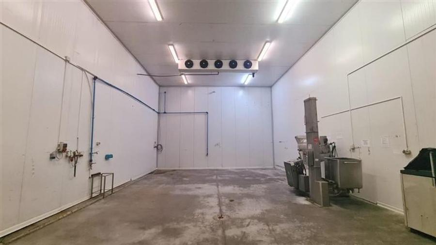 Hala industriala cu depozit Frigo, 3650 mp , Timisoara NORD - 5