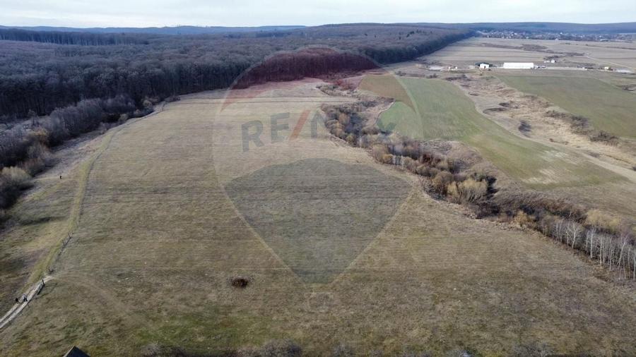 Teren 2925 mp comuna Mitocu Dragomirnei - 12