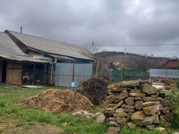 Casa de vanzare in slava rusa - 7