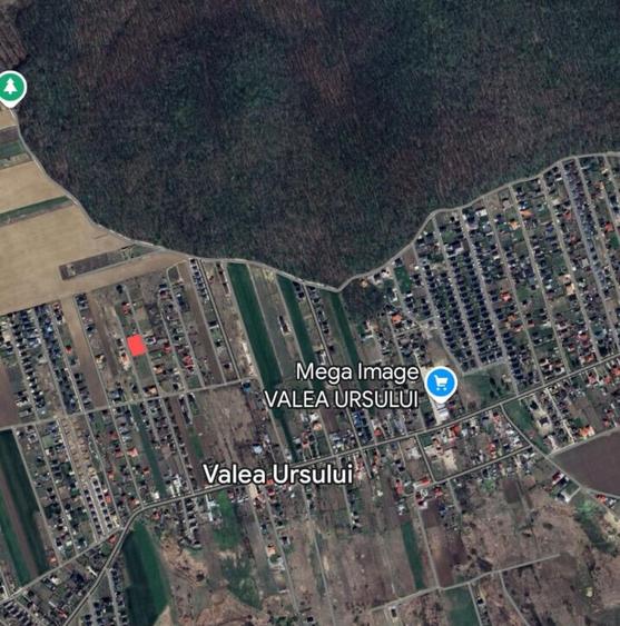 VALEA URSULUI, TEREN INTRAVILAN DE , LA MARGINE DE PADURE - 11