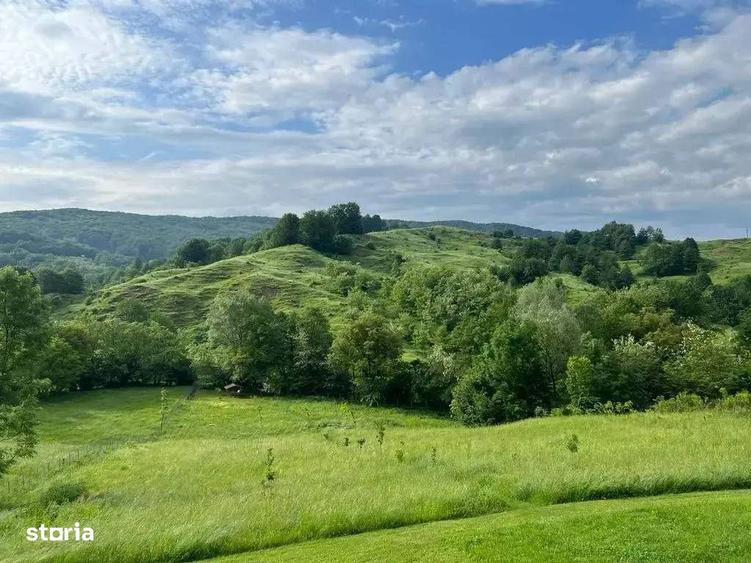 TEREN DE VANZARE -DEALURILE SULTANULUI - 1