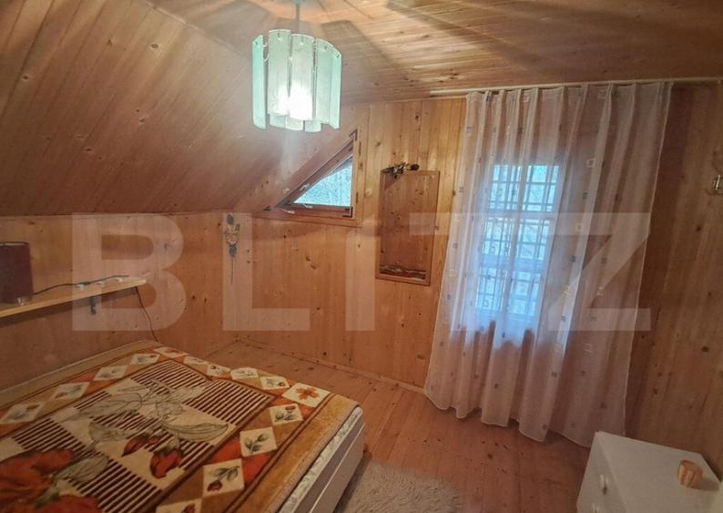 Cabana in colibita - 12