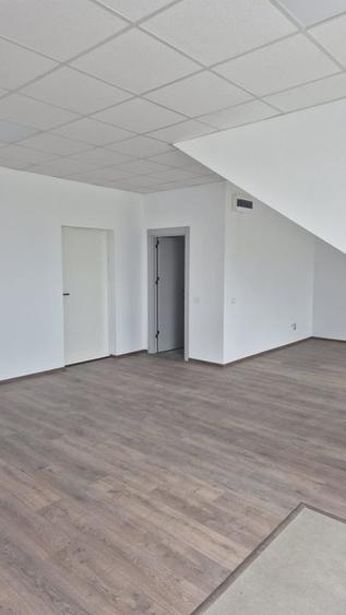 Spatiu depozitare si productie Soseaua de centrua Chitila - 21