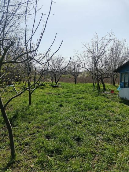 Vand casa Avrameni ,judetul Botosani - 1
