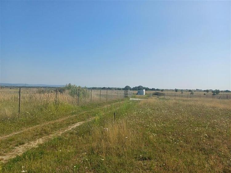 Teren intravilan de vanzare cu fantana si curent electric pe teren - 4