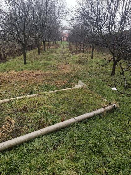 Proprietate cu 2 case, livada, vie ?i teren 1450 mp - 3