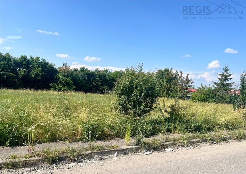 TEREN INTRAVILAN, 1000 mp, HARMAN - 4