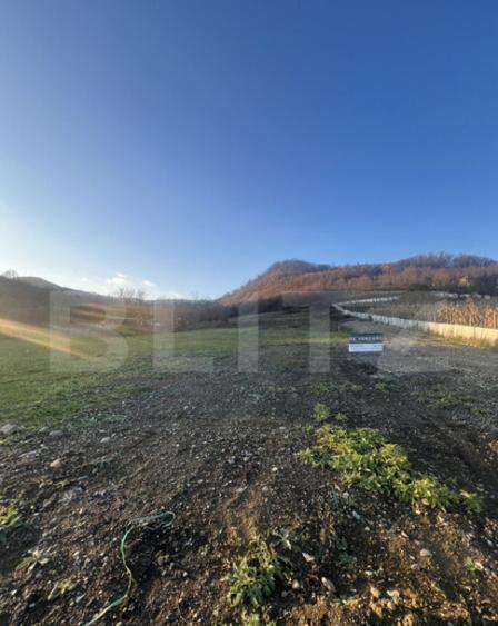 Teren generos 8.5 Ari, Zona VIlla Franca-ideal constructie c - 3