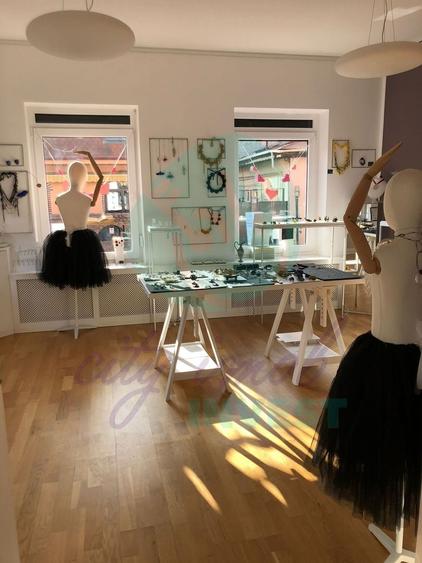 Un apartament Chic ideal ca locuinta sau activitate - 3