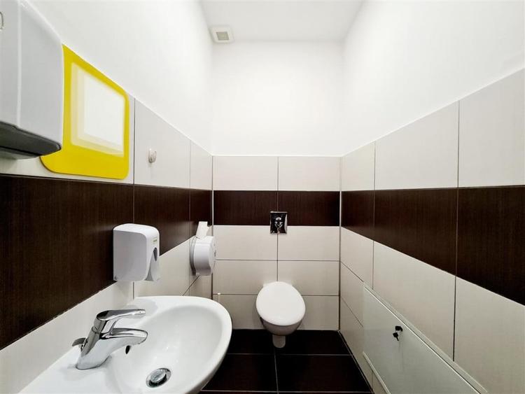 Iancu Nicolae / Vila 4 dormitoare /Garaj - 15