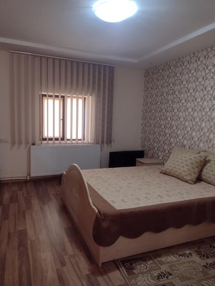 Casa Constanta-Ramnicu de jos, 3600 mp teren intravilan - 43