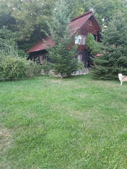 de vanzare proprietate (fosta pensiune) pe malul raului Teleajen - 6