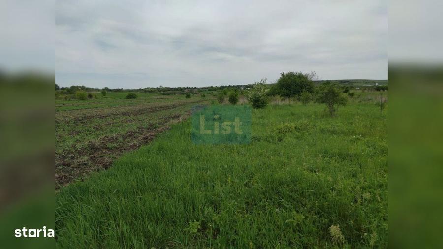 Comision 0%! Oportunitate, teren intravilan, 800 mp Masterplan, Sopor - 2