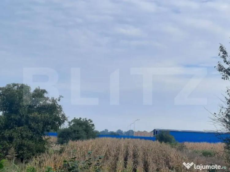 Teren extravilan de vanzare suprafata 1.700 mp ,zona Careiul - 1