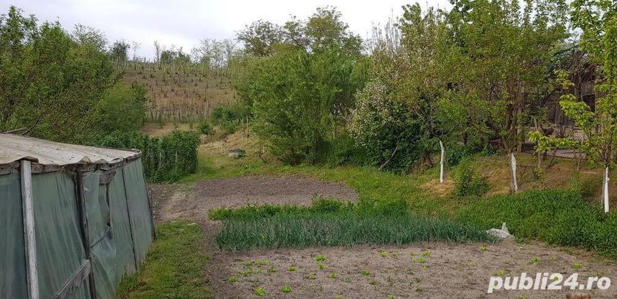 casa in Orevita Mare - 7