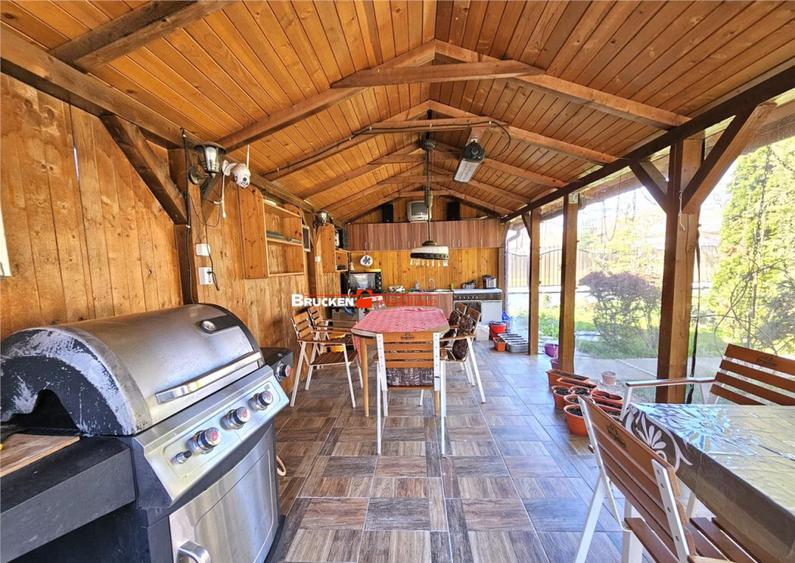 PROPRIETATE CU AFACERE FUNCTIONALA DE - PETREU, LANGA MARGH - 4