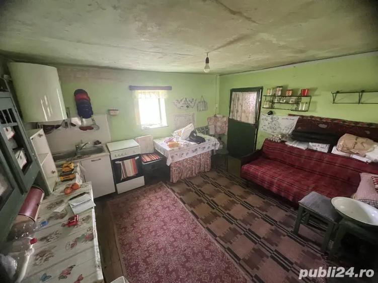Casa la tara, sat Ru?i,23km de Sibiu -2300mp teren - 10