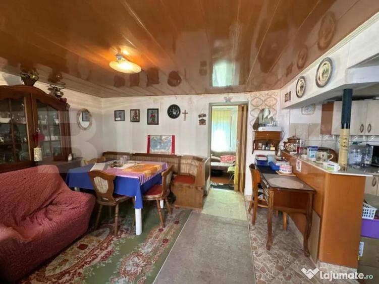 Casa saseasca de vanzare, curte, gradina, teren 3000 mp - Ji - 5