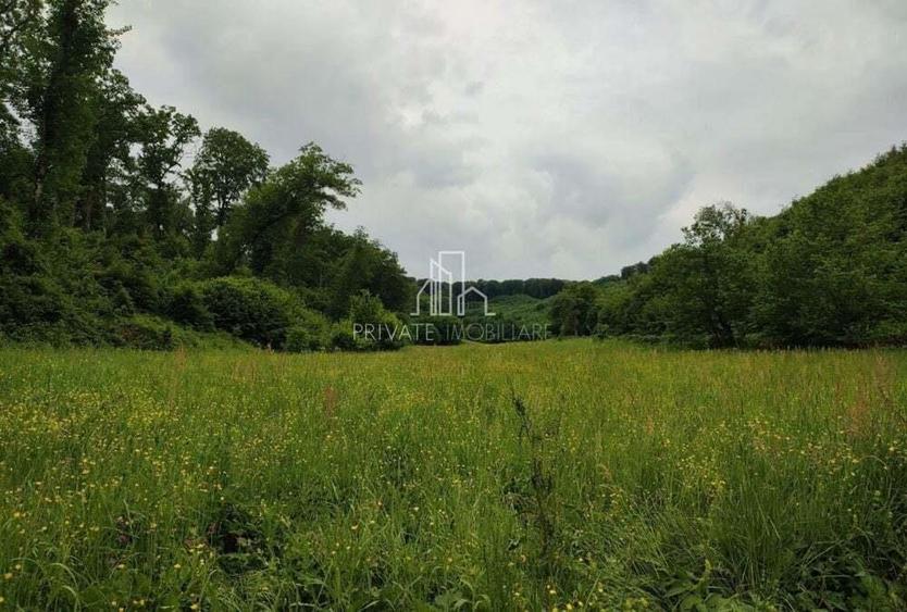 Teren de vanzare, 20.000Mp , Comuna Danes, drumul Crisului - 9