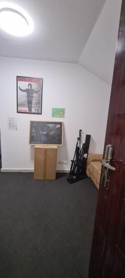 Apartamente in vila istorica Cismigiu - 8