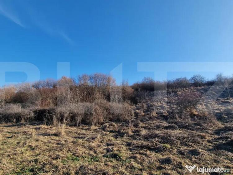 Teren extravilan, 5600mp, ideal investitie de viitor, zona V - 3