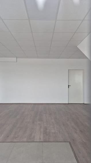 Spatiu depozitare si productie Soseaua de centrua Chitila - 20