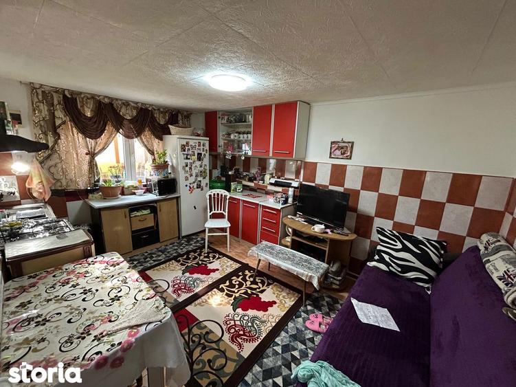Casa 4 camere zona Plantelor - 3