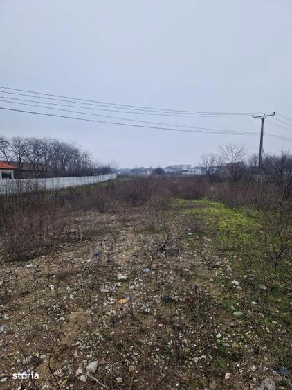 Teren de vanzare Malu Mare 1.250 mp intravilan - 2