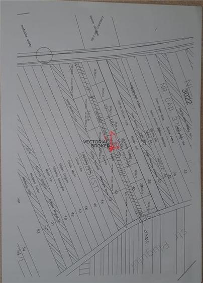 Vanzare teren intravilan Branesti Ilfov - 1