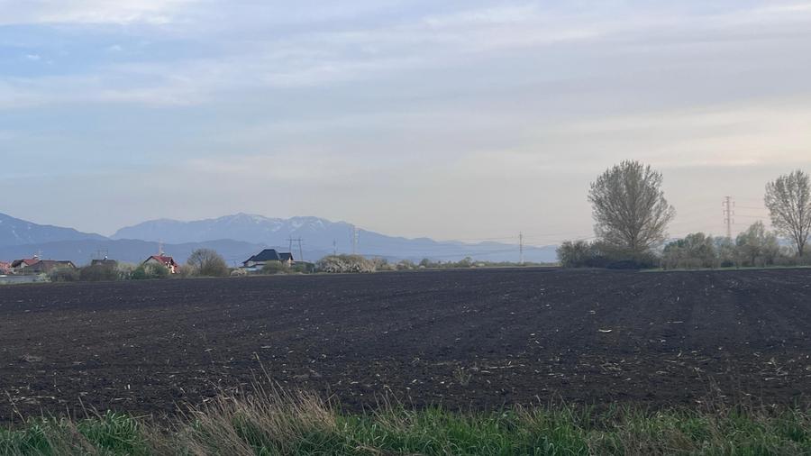 Teren 50000mp Extravilan-Intrare Halchiu-Cod 4486 - 1