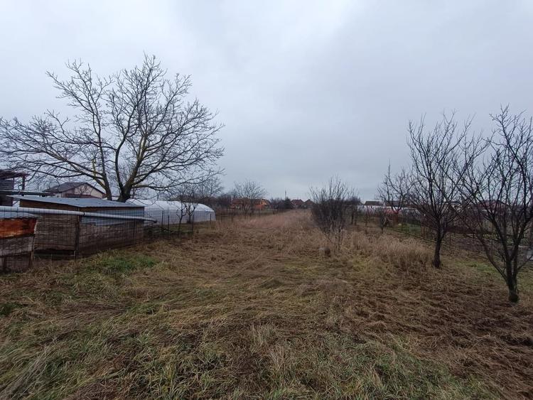 Casă cu teren generos 1.305 mp | Curtici – Arad - 8