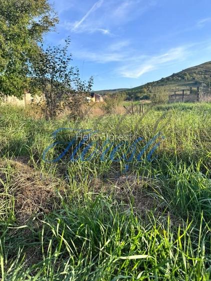 Oportunitate investitie, teren intravilan Luna de Sus 2900mp Oportunitate investitie, teren intravilan Luna de Sus 2900mp