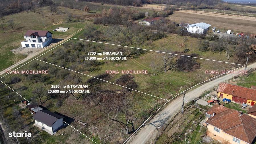 Teren intravilan Berchez 3700 mp+ 2950 mp Utilita?i 700/ar NEGOCIABIL - 5