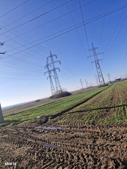 Teren de vanzare 5000 mp, Dumbrava ,DB - 2