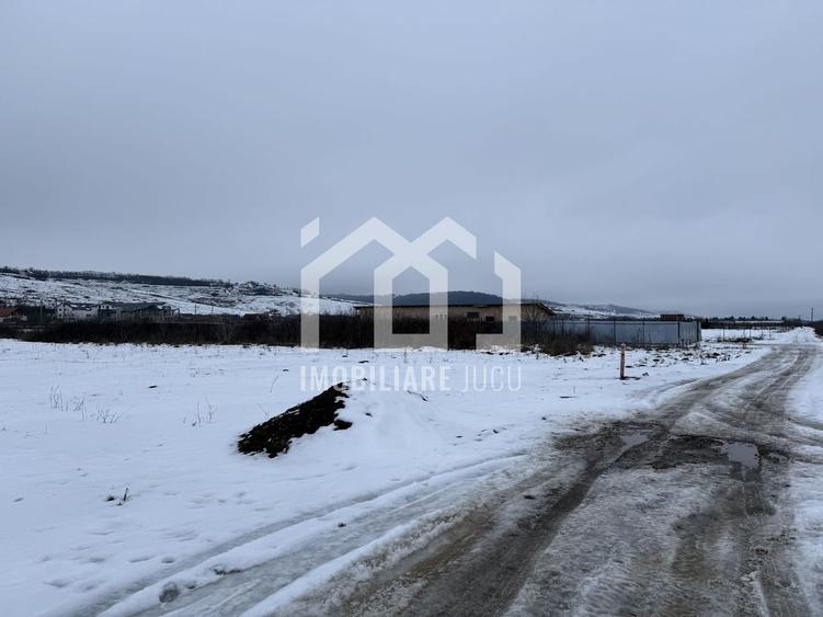 Teren Construcții intravilan de 9783 mp, în Jucu de Mijloc