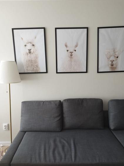 2 camere | Stefan cel Mare | Lizeanu | designer - 8