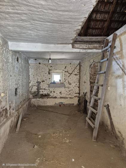 Casă cu 4 camere în Horia