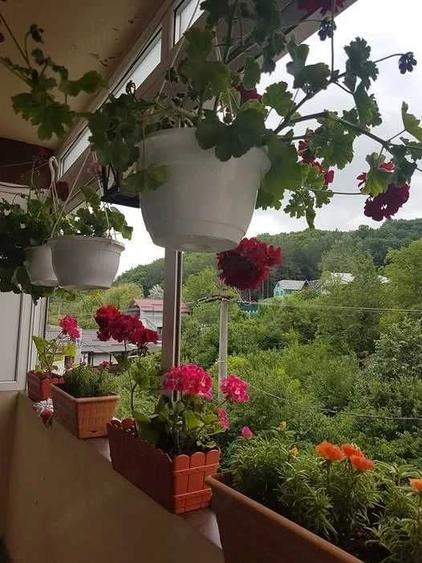 Apartament cu 3 camere decomandat în Sărata