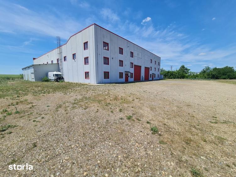 Spațiu comercial, de 40,000 mp, în Șagu