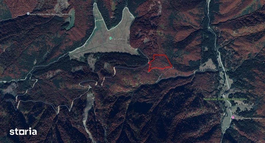 Teren de vanzare pe Transfagara?an, zona Molivi?u ( 69.450 mp ) - 19
