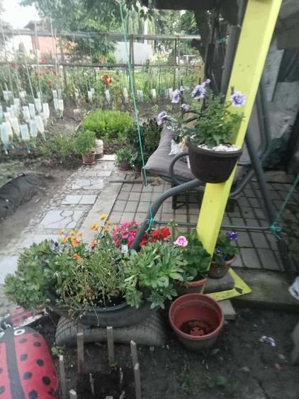 Garsonieră decomandată în Coman