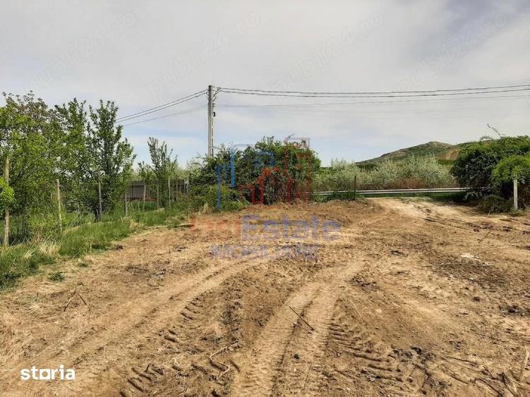 Vladiceni TEREN 1480mp la numai 200m de str Trei Fantani asfalt si uti - 9