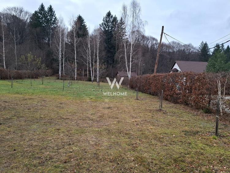 Teren Construcții intravilan de 2000 mp, în Sud-Vest