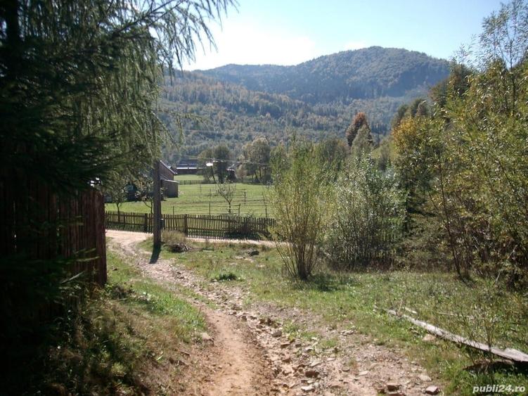 Teren de 1500 mp, în Molid
