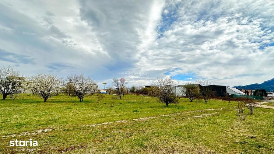 Teren de 1160 mp, în Dârste
