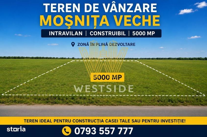 Spațiu comercial, în Moșnița Veche