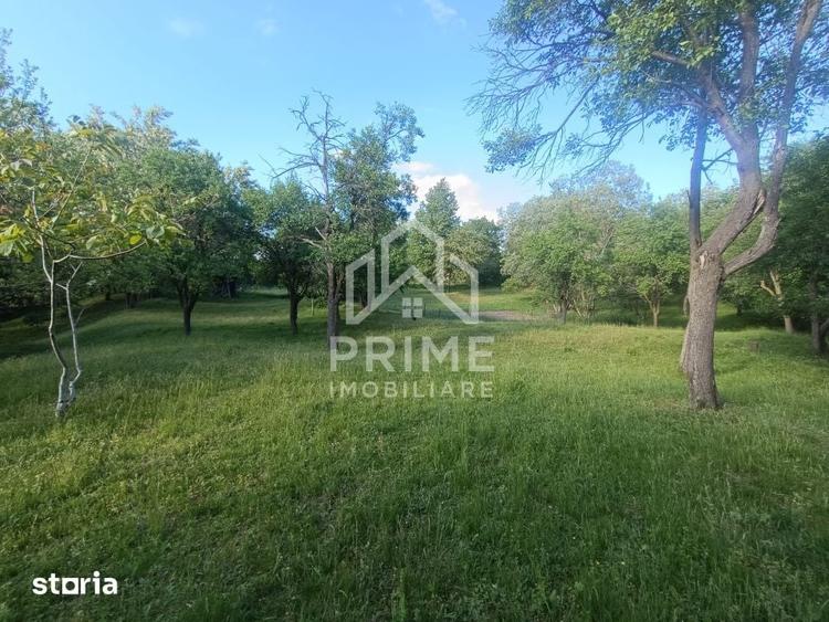 Casa / Proprietate deosebita cu 8142 MP teren | Oarda | - 8