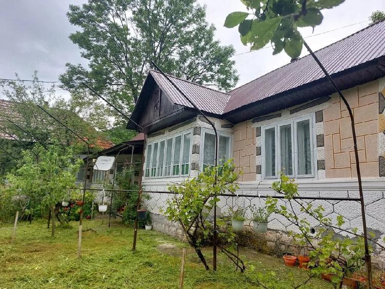 Casă cu Teren 1000 Mp în Lepșa